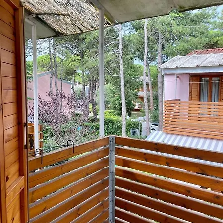 Residenza Mayla * Λινιάνο Σαμπιαντόρο